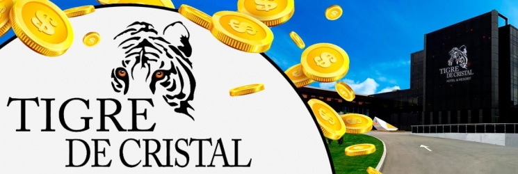 Владельцы Tigre de Cristal сообщили о снижении прибыли